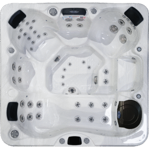 EC -755L Hot Tub