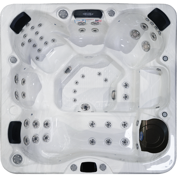 EC -755L Hot Tub